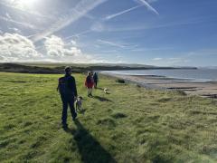 Back at the coast looking over Bridgwater Bay